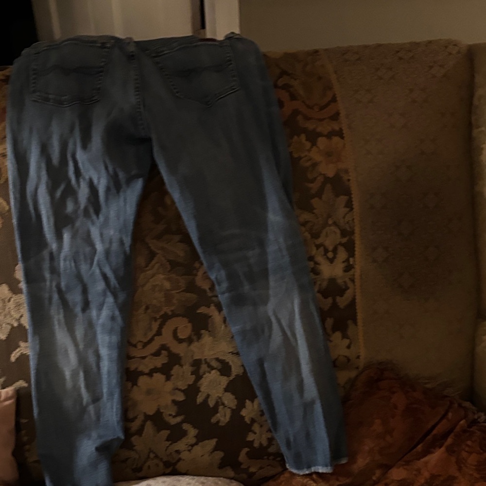 Polo by Ralph Lauren Blue Cropped Pants